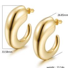 Load image into Gallery viewer, Viviana Hoops
